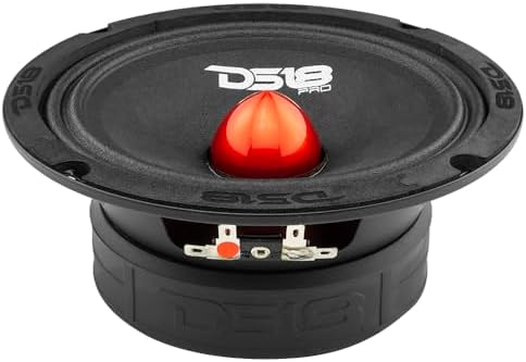 DS18 high efficiency car loudspeaker unboxed showcasing premium packaging and build quality