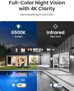 Reolink smart AI outdoor camera tracking vehicles and individuals on a driveway