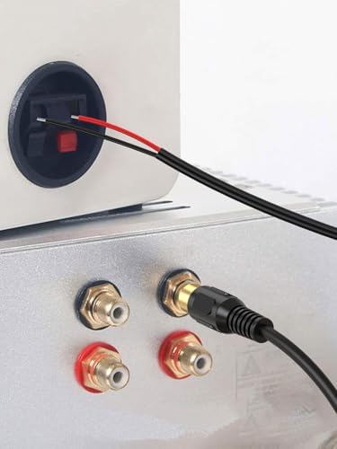 RCA to bare wire adapter connected to amplifier