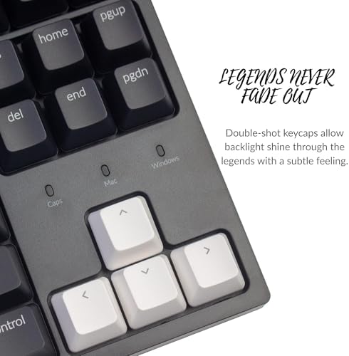Keychron C1 keyboard with Mac and Windows keycaps
