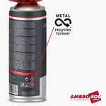 Rear view of Ambro-Sol brake cleaner with safety instructions