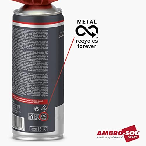 Rear view of Ambro-Sol brake cleaner with safety instructions