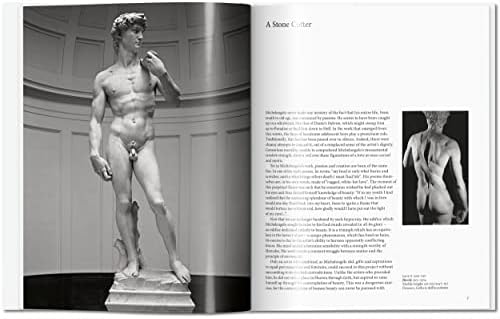 Michelangelo (Basic Art) - Image 3