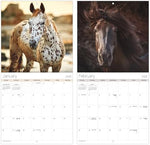 2025 Horses Mini Wall Calendar - Image 7