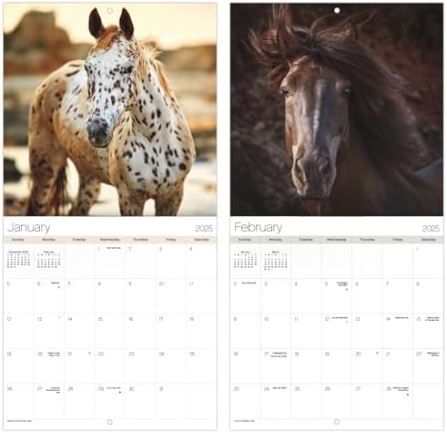 2025 Horses Mini Wall Calendar - Image 7