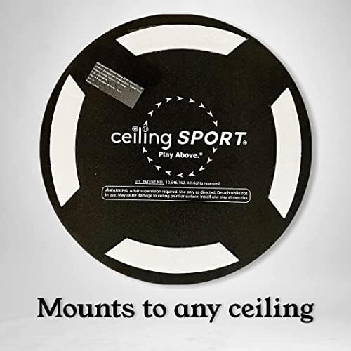 Components of Ceiling Strike baseball training kit