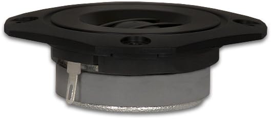 Goldwood Sound GT-302 speaker tweeter front view