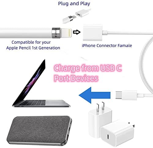 ONGAHON 1 foot Type C male to Lightning female pen charging cord