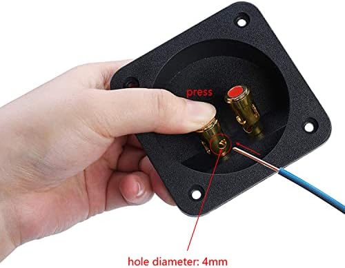 Rear view of gold plated speaker terminal jack showing quick disconnect spade tabs