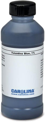 Toluidine Blue O, 1% Aqueous, Laboratory Grade, 100 mL - Image 1
