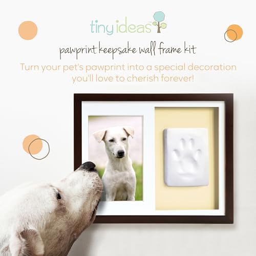 All in one pet clay paw print mold kit with rolling pin and wooden frame