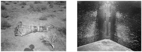 Larry Sultan & Mike Mandel: Evidence - Image 5