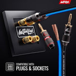 Professional home theater audio setup with Install Link cable
