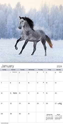 2024 Horses Wall Calendar - Image 3