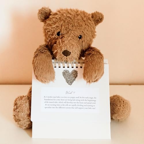 Back cover and packaging details of the authentic Mulberry Lane Co. pregnancy countdown tracker.