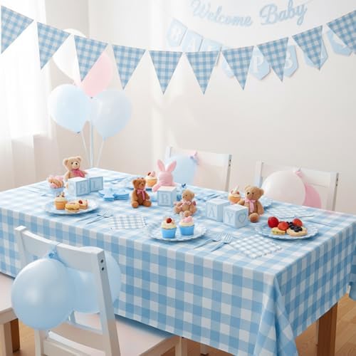 Table setting with blue and white checkered party supplies