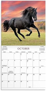 Horses 2024 Wall Calendar - Image 5