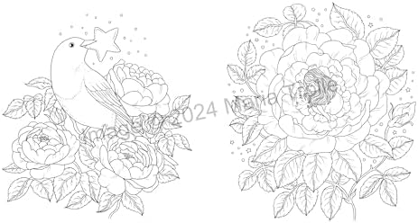 Shooting Star: Coloring Book (Maria Trolle) - Image 3