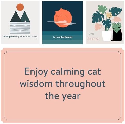 Catffirmations 2025 Wall Calendar - Image 4