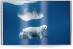 Born to Ice - Image 6