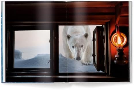 Born to Ice - Image 4