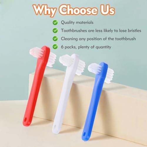 Six piece travel friendly denture toothbrush set in blue red and white colors