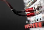Detailed studio shot of the AudioQuest Golden Gate RCA plug markings indicating proper signal flow direction for audio systems.