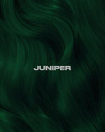 Lunar Tides Juniper Green hair dye open tub showcasing the dark forest green cream texture