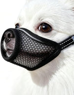Close up of breathable mesh fabric on MoiiLavin dog muzzle