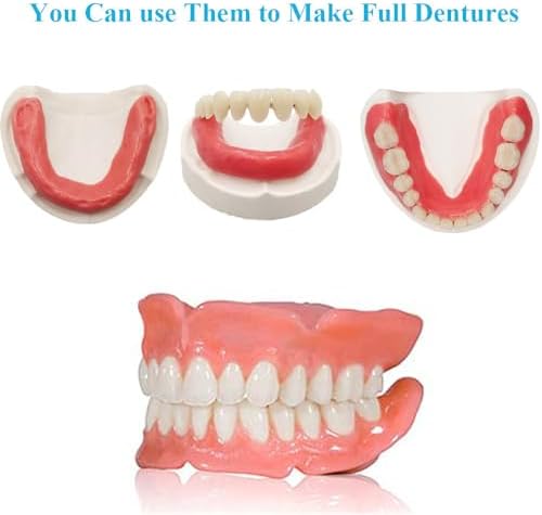 Healthyare full set of upper and lower fake teeth for cosmetic use