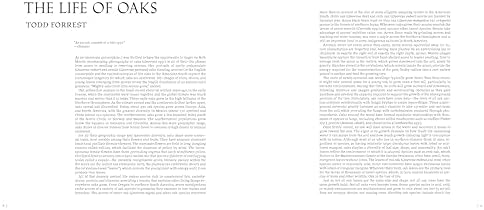 Oak: From Seed to Ancient Tree - Image 4