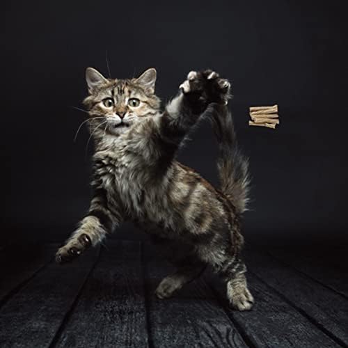 Cat Dancer 101 Original Interactive Cat Toy - Image 3