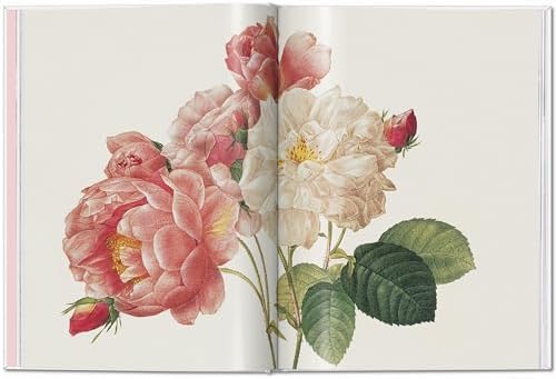 RedoutÃ©. Roses (Multilingual Edition) - Image 4