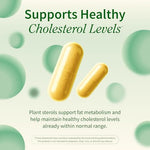 Snap Supplements Cholesterol Health side panel highlighting non-GMO and gluten-free seals