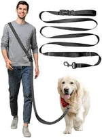 WANFIRE adjustable waist dog belt attached to a medium sized dog harness.