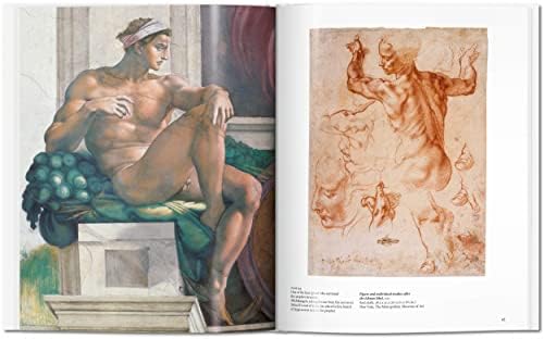 Michelangelo (Basic Art) - Image 7