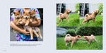 The Dogist Puppies - Image 7