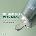 Isntree Mugwort Calming Clay Mask creamy texture with visible mugwort leaves and red bean powder