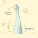Two pack of authentic USA imported Pure Enrichment replacement toothbrush heads for ages 1-3.