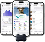 FitBark 2 monitor attached to a dog collar for size reference