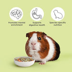 Kaytee Food from The Wild four pound bag for all life stages of guinea pigs