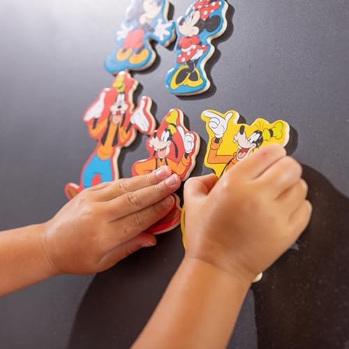 Close up view of high quality wooden storage tray containing twenty colorful Disney character magnets
