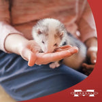 Nutritional information and feeding guidelines on authentic USA imported pet food.