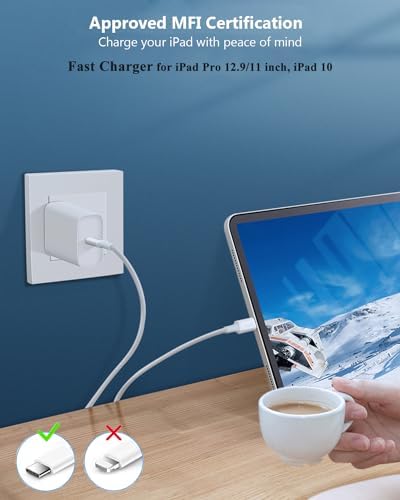 Dual pack of twenty watt USB C power bricks with extra long ten foot Type C cords.