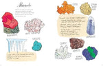Julia Rothman Nature Anatomy opened pages showing botanical illustrations