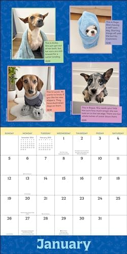 WeRateDogs 2025 Wall Calendar - Image 4
