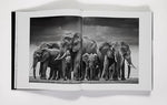 David Yarrow: The Collection - Image 3