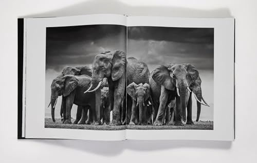David Yarrow: The Collection - Image 3