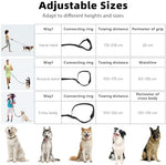 Shock absorbing bungee dog leash showing 360 degree rotating tangle free connector