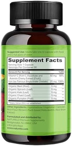 NATURELO iron with organic whole foods blend including spinach kale and beet capsules view